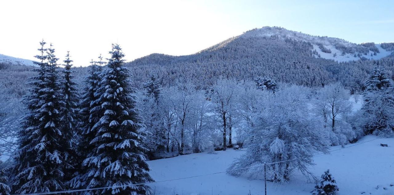 Appartamento Sci Jsm Gresse-en-Vercors Esterno foto